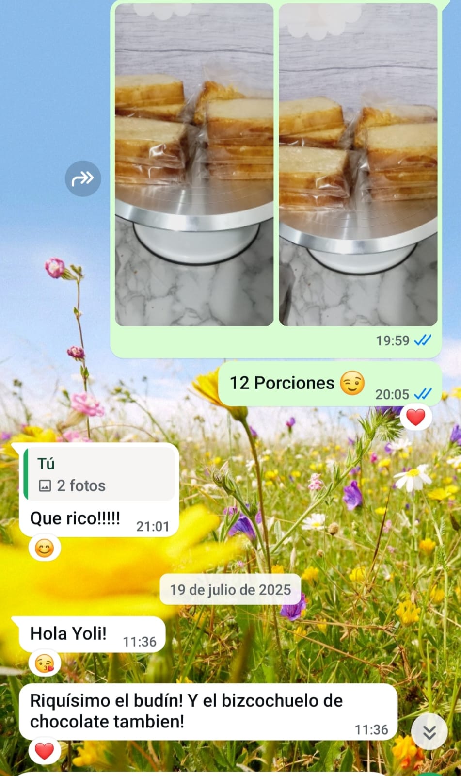 Captura de chat de WhatsApp con comentario de budín