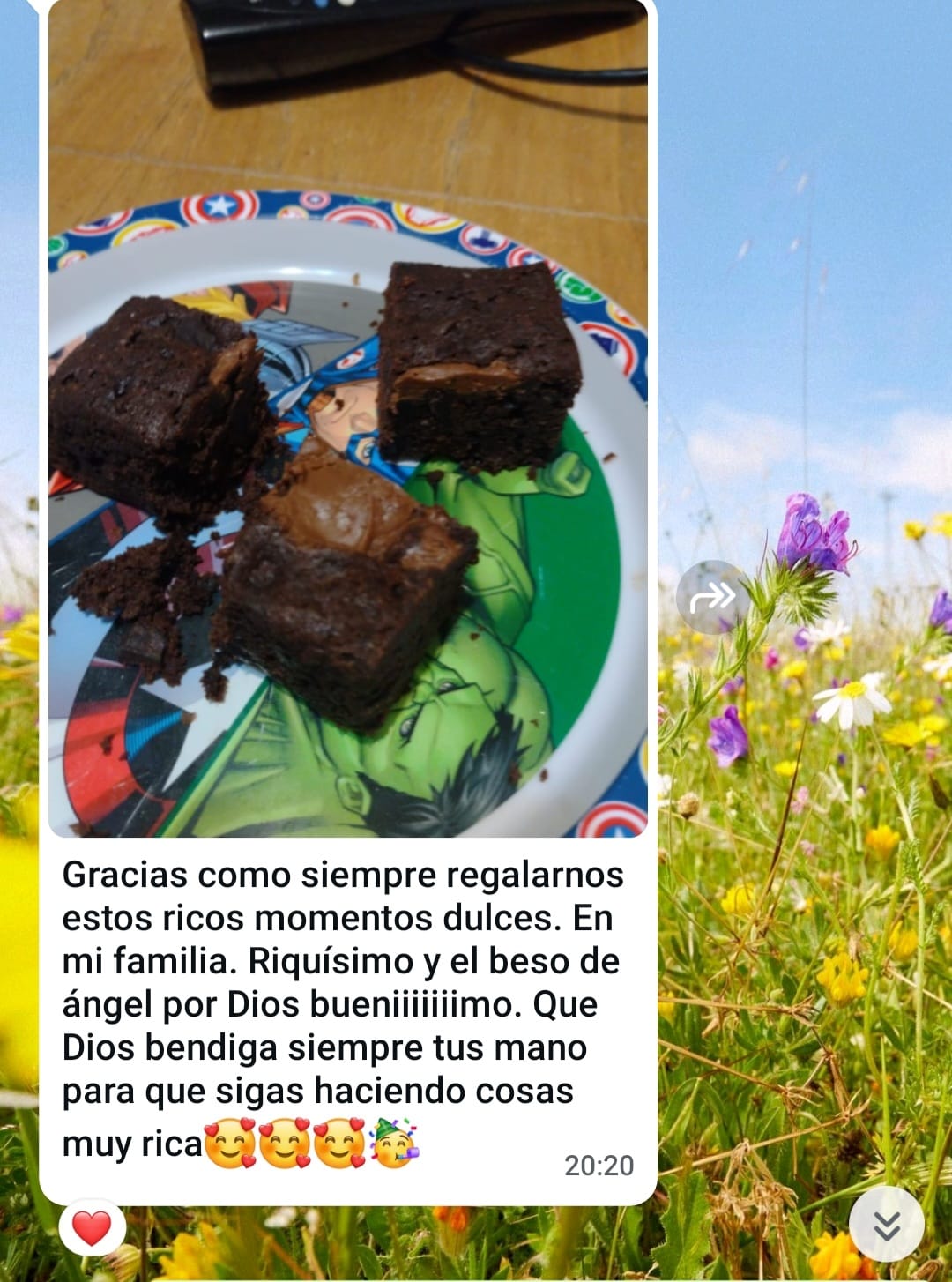 Captura de chat de WhatsApp con comentario de brownies